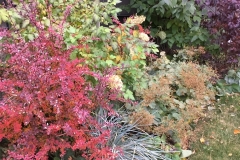 Landscape and Gardening Projects 2017