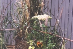 Plants